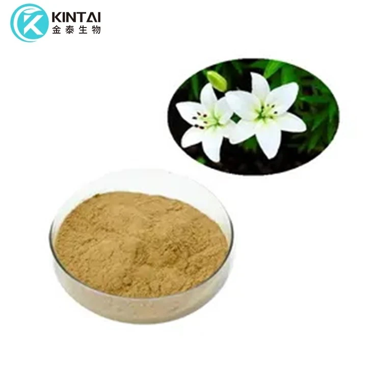 Lilium Candidum Bulb-extract