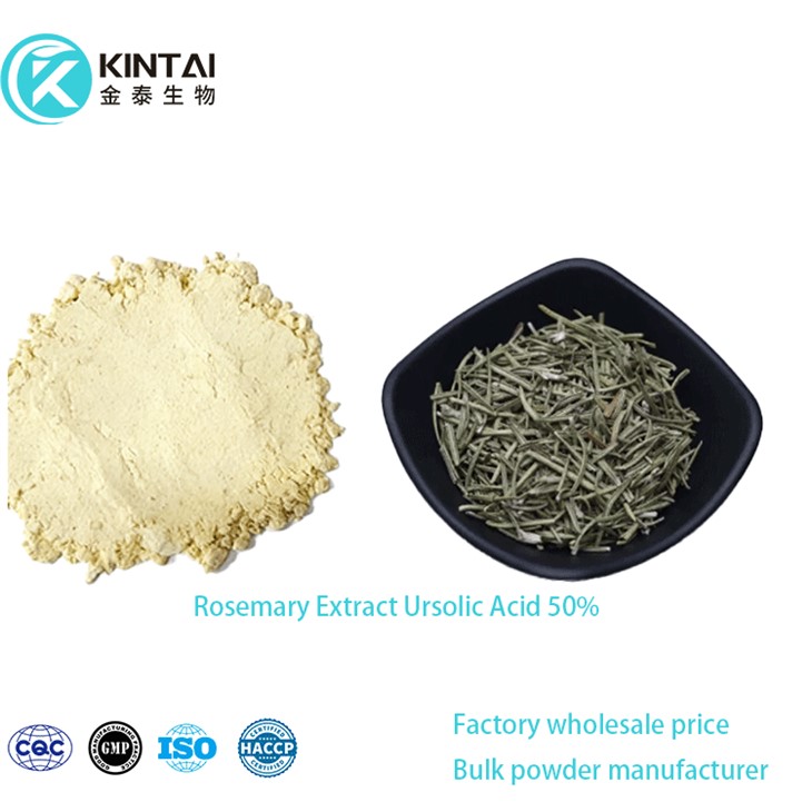 Rosemary-Extract-Ursolic-Acid-50%