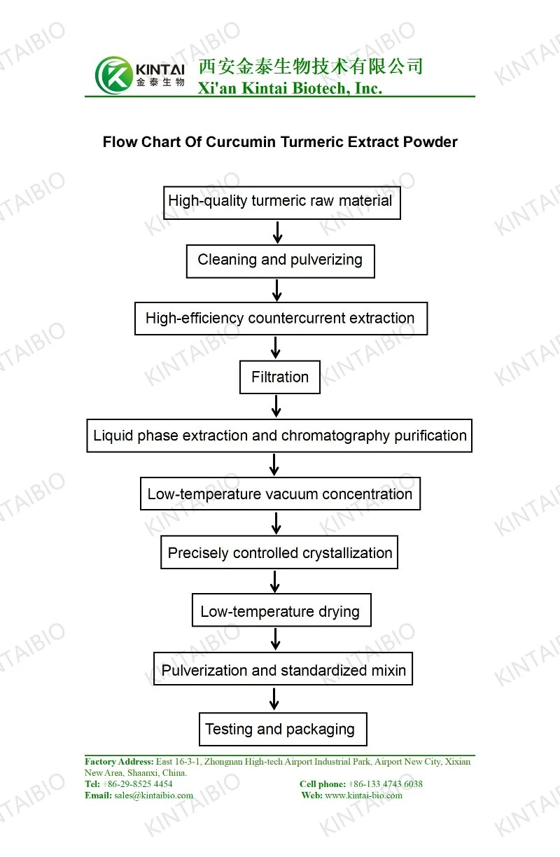 Flow Chart Of Curcumin Turmeric Extract Powder Flow Chart Of Curcumin Turmeric Extract Powder